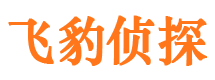 颍东捉小三公司